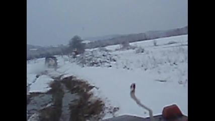 в кишата