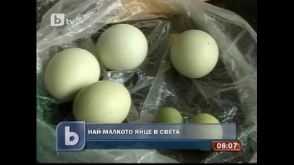 Най-малкото яйце в света