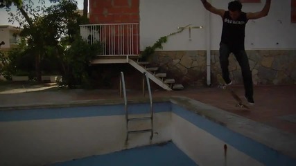 Skate Regeneration