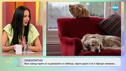 Мъж симулира обир, за да предложи брак на приятелката си