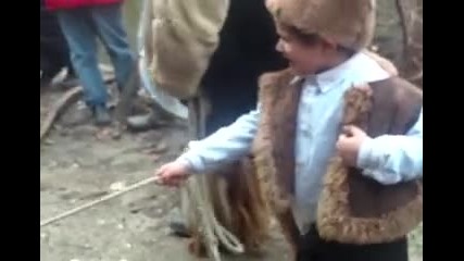 Surva Rikitna 2010