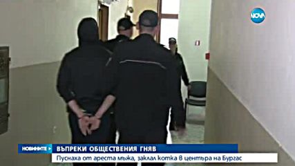 Пуснаха под домашен арест момчето, заклало котка на оживено място
