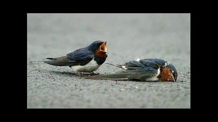 Best Liquid Dubstep mix Ever 2012- (patronbullets mix)
