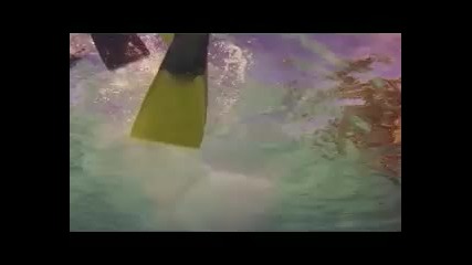 Travel, Остров Aitutaki 