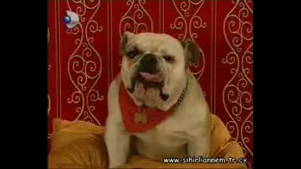 Sihirli Annem - 7.bolum / 3.kisim (2003-2006) ;;