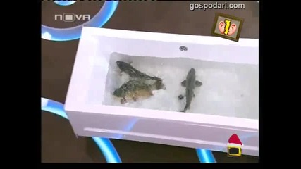 Господари на Ефира - Гледам и не вярвам на ушите си 