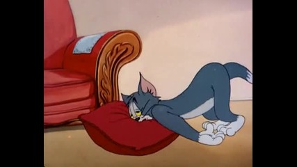 Tom Jerry 29 