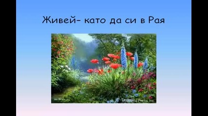 Обичай сякаш никога не си бил разочарован! 