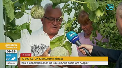 Кой е мъжът, купил за 10 000 лв. пъпеш от най-скъпия сорт в света
