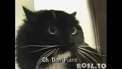 Е това клипче изби рибата! Oh my dog! 