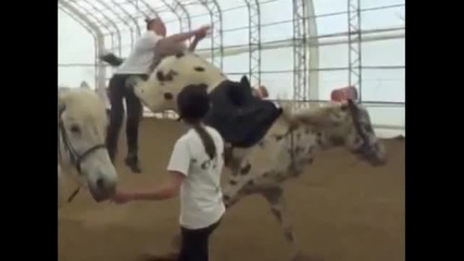 Така не се прави с кон