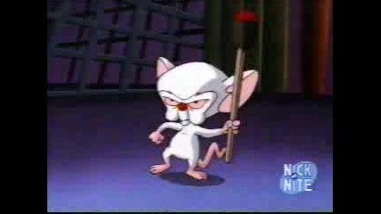 Pinky And The Brain - Celtic Dance
