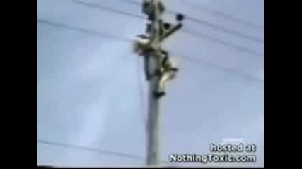 50 000 Volta 