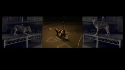 Madonna - X - Static Process Videos [cyote]