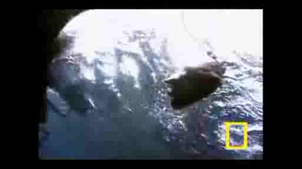 National Geographic - Бяла Акула