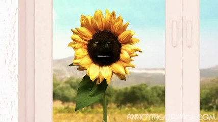 Annoying Orange - Flower Power!