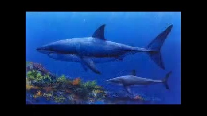 Акулата Мегалодон-мит за една 18 метрова акула!вие вярвате ли ?