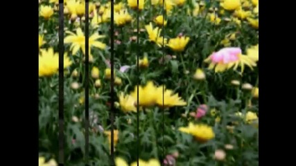 Women Of Faith Worship Team - Today Is The Day (днес е денят)