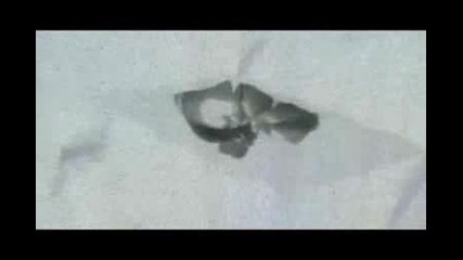 Naruto Trinity Trailer