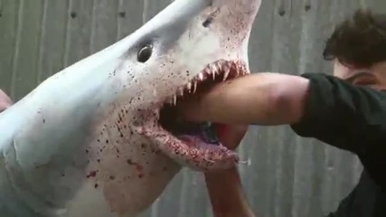 Акула атакува хората - Шега