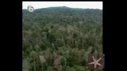 Отново на свобода - 1.flv 