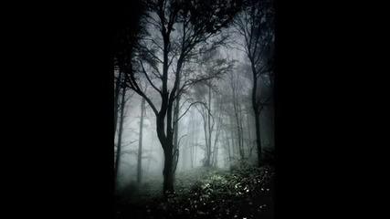 Eluveitie - Tegernako