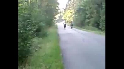 Yzf 750 R Exup & Fzr 1000 Exup