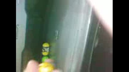 Vid005