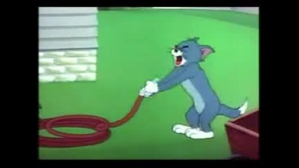 Tom and Jerry 5 Bg Parody