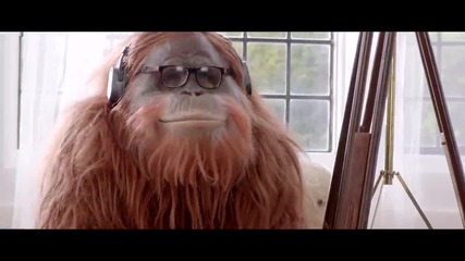 Yamla Pagla Deewana 2 (2013) Official Theatrical Trailer
