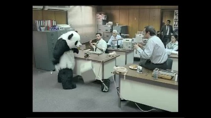 Never say no to Panda #3
