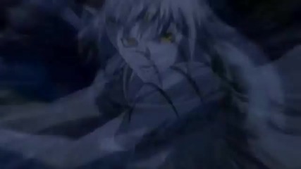 Perfect Warriors - Amv