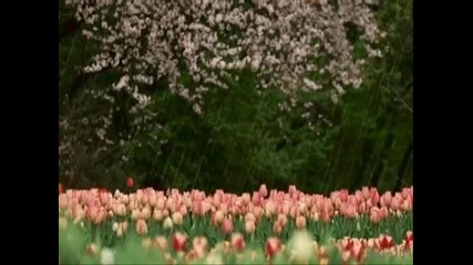 Enya - It's In The Rain