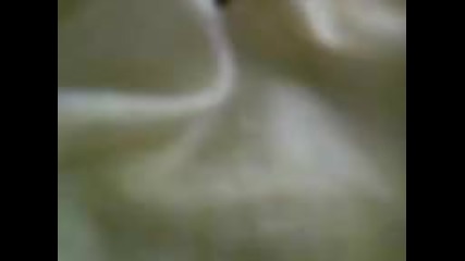 Dsc 0001