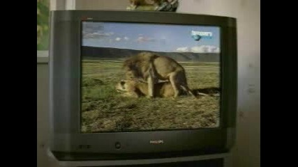 Sky Documentaries