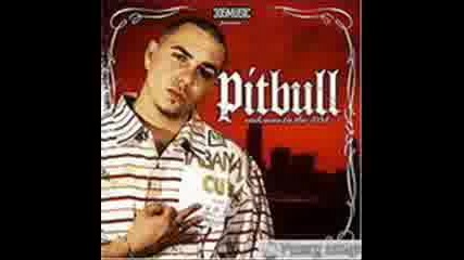 Pitbull - Fuego