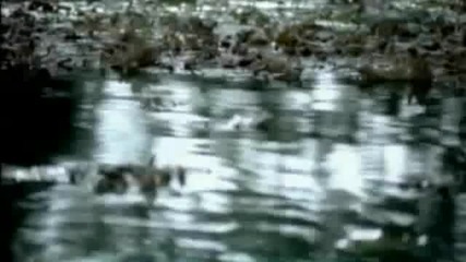 Murat Basaran -sana Olurum
