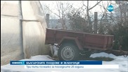 Произвеждаме много по-малко плодове и зеленчуци