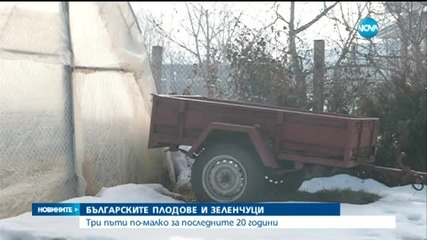 Произвеждаме много по-малко плодове и зеленчуци