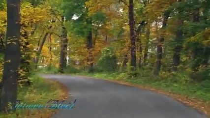 *m Chris Spheeris - Solitary Road ...