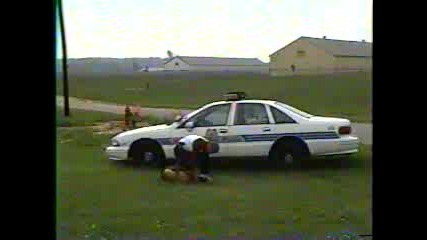 Обучение На Полицейски Кучета