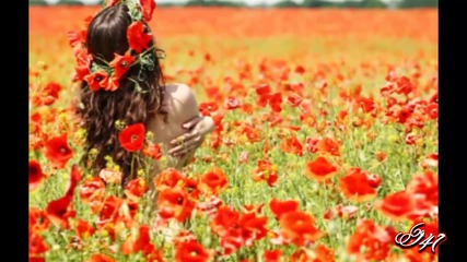 Букети полски цветя...(painting)...(песня "полевые цветы" - исполняет Людмила Сенчина)...