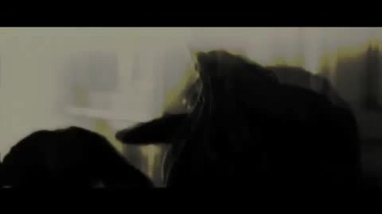 Surfact - Absolutely Shameless (hq)