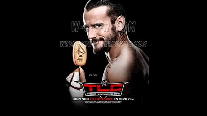 Cm Punk - Cult of Personality