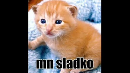 Sladki Pic4eta
