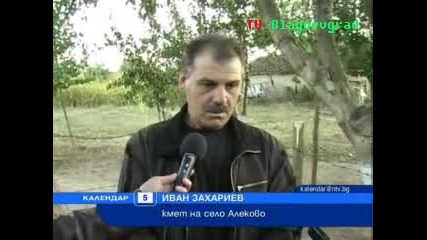 Образ на човек върху дърво? 