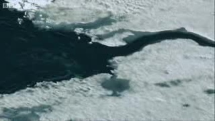 Arctic Unicorns - Natures Great Events: The Great Melt
