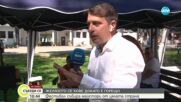 Фестивал събира майстори ковачи от цялата страна
