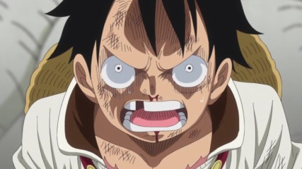 [ Bg Subs ] One Piece - 808