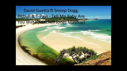 David Guetta ft. Snoop Dogg, Pitbull, T - Pain - Tell Me Baby Are You Wet